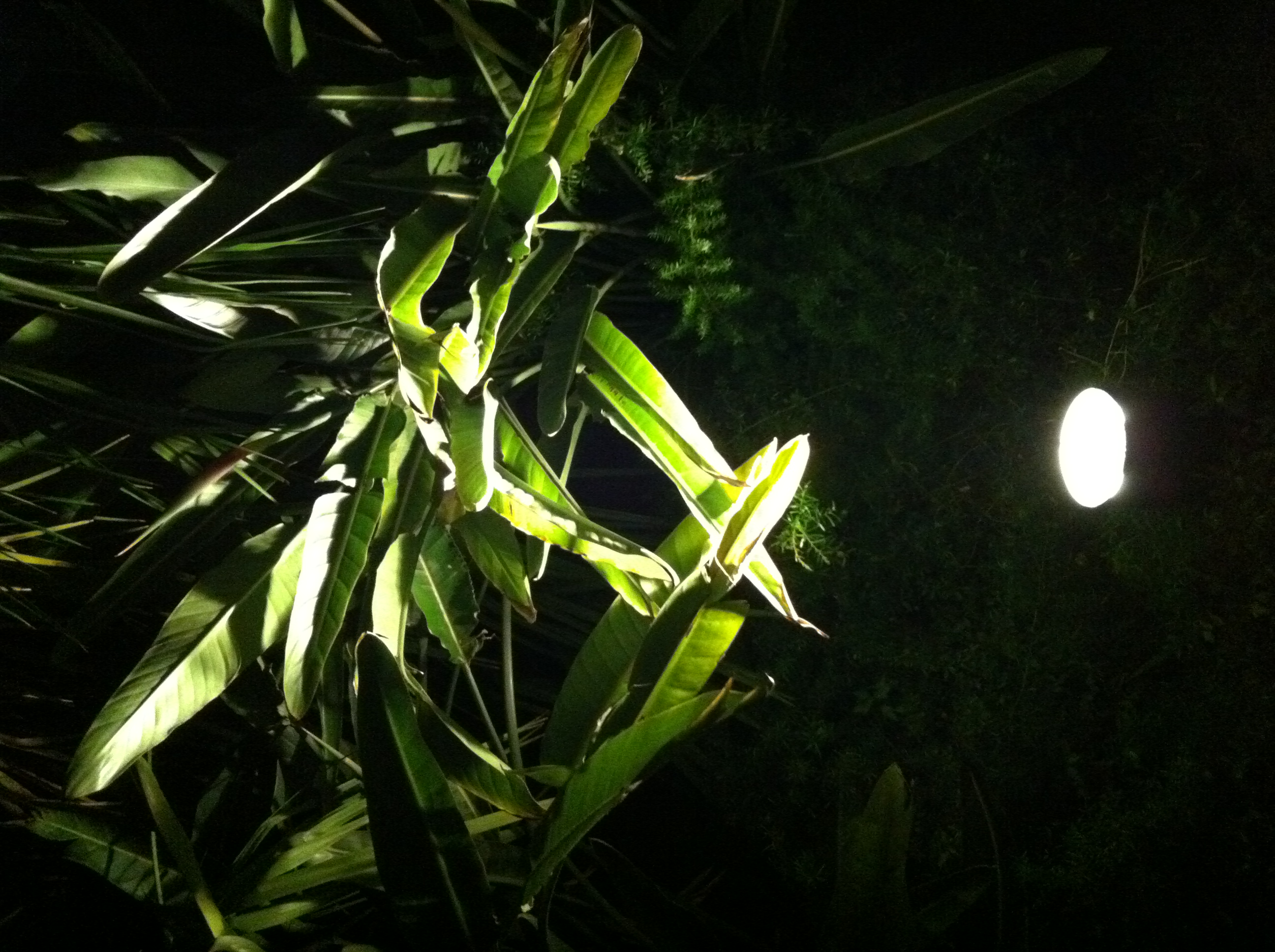 Luminaire jardin extérieur